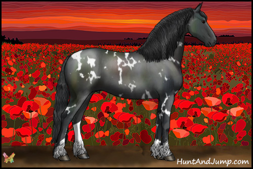 Horse Color:White Spotted Black Sabino 