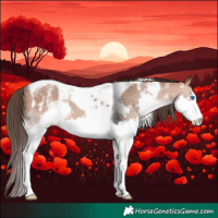 Horse Color:White Spotted Amber Champagne Splash Tobiano 