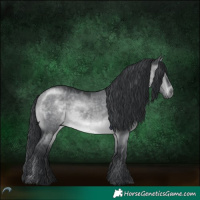 Horse Color:Brown Chinchilla Dun 