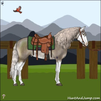 Horse Color:Liver Red Dun Mushroom Splash Rabicano