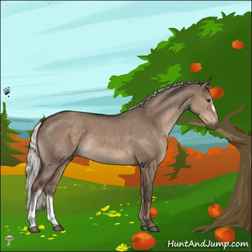 Horse Color:Liver Red Dun Mushroom 