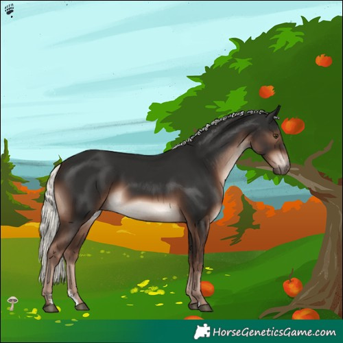 Horse Color:Liver Chestnut Mushroom 