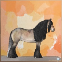 Horse Color:Brown Roan Dun Rabicano 