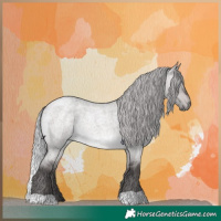Horse Color:Platinum Silver Brown Roan Dun 