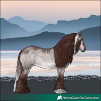 Horse Color:Gray Platinum Chocolate Brown Roan Dun 