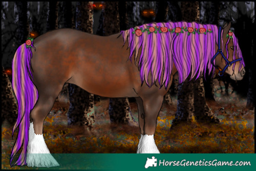 Horse Color:Painted Liver Chestnut 