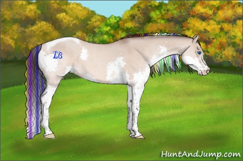 Horse Color:Painted Sable Champagne Dun Splash Tobiano 