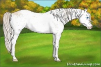Horse Color:White Spotted Silver Smoky Grullo Pearl Splash 