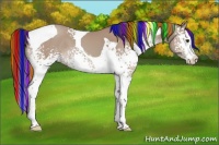 Horse Color:Painted White Spotted Classic Champagne Splash Tobiano 