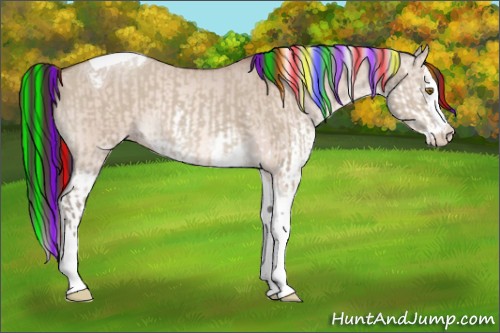 Horse Color:Painted Classic Champagne Dun Splash Tobiano and Painted Amber Champagne Dun Splash Tobiano
