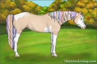 Horse Color:Painted Silver Classic Champagne Dun Splash Tobiano 