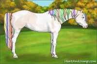 Horse Color:Painted Silver Sable Champagne Pearl Splash Tobiano Appaloosa Rabicano
