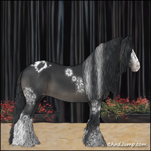 Horse Color:White Spotted Black Sabino Varnish