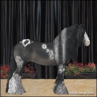 Horse Color:White Spotted Black Sabino Varnish 