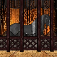 Horse Color:White Spotted Black Appaloosa Rabicano