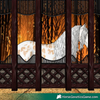 Horse Color:Cremello Sabino Tobiano Appaloosa Rabicano  and White Spotted Gold Cream Champagne Tobiano Appaloosa 