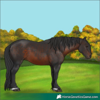 Horse Color:Brown 