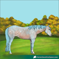 Horse Color:Watercolor Brown Ice 