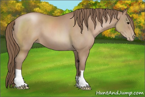 Horse Color:Black Pearl 
