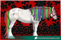 Horse Color:Painted Buckskin Roan Dun Splash Appaloosa 