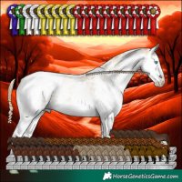 Horse Color:White Spotted Buckskin Pearl Snowcap 