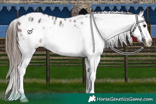 Horse Color:Bay Ice Frame Blanket
