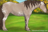 Horse Color:Classic Champagne Ice 