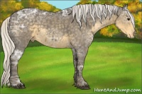 Horse Color:Silver Smoky Black Ice Appaloosa