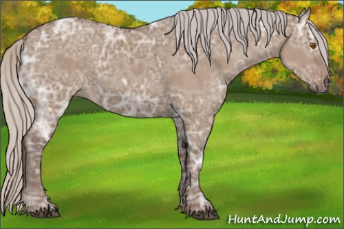 Horse Color:Silver Grullo Ice 