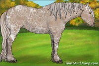 Horse Color:Silver Grullo Ice
