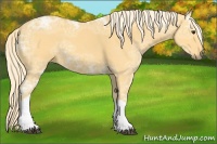 Horse Color:Palomino Ice 
