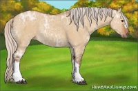 Horse Color:Silver Buckskin Ice Dun Rabicano