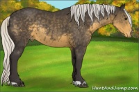 Horse Color:Silver Smoky Black Appaloosa Rabicano