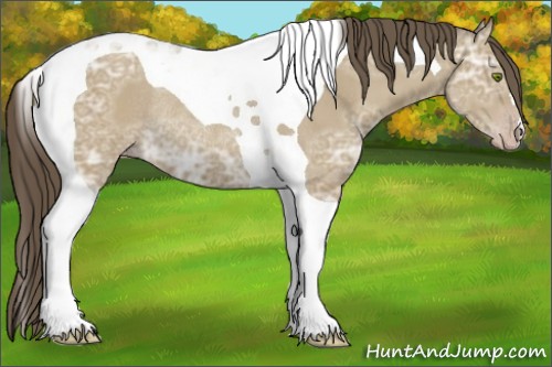 Horse Color:Classic Cream Champagne Ice Tobiano Rabicano