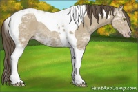 Horse Color:Classic Cream Champagne Ice Tobiano Rabicano