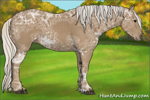 Horse Color:Silver Smoky Black Ice