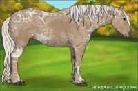 Horse Color:Silver Smoky Black Ice