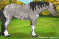 Horse Color:Grullo Ice Tobiano Appaloosa Rabicano 