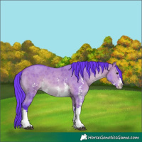 Horse Color:Watercolor Bay Dun Sabino 