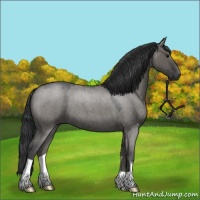 Horse Color:Grullo Roan 