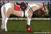Horse Color:Silver Black Pearl Tobiano