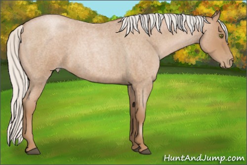 Horse Color:Silver Blue Roan Pearl 