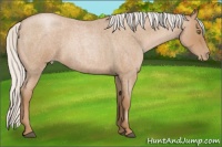 Horse Color:Silver Blue Roan Pearl 