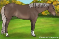 Horse Color:Silver Black Tobiano 