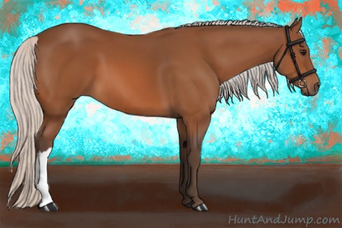 Horse Color:Silver Bay 