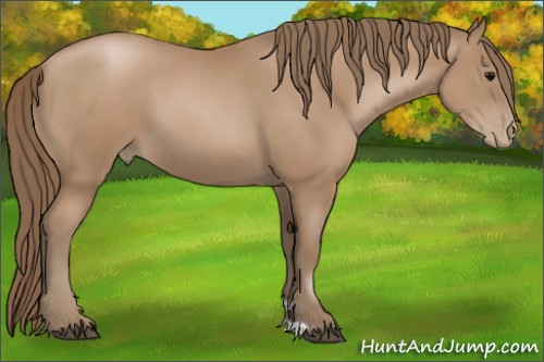 Horse Color:Black Pearl 