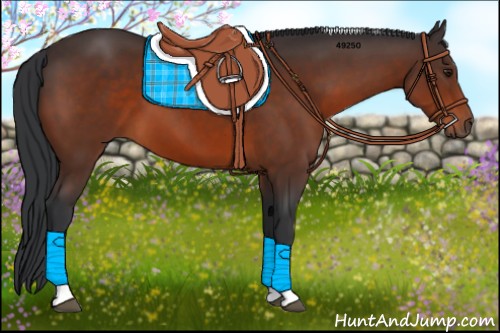 Horse Color:Brown Tobiano Rabicano