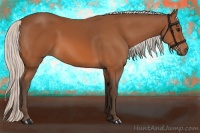 Horse Color:Silver Bay 