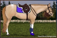 Horse Color:Chestnut Pearl Tobiano