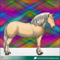 Horse Color:Palomino 